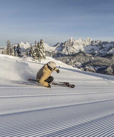 Skier carving on groomed slope with snowy mountains | © Mirja Geh