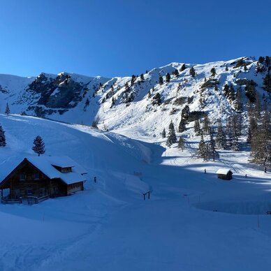 Snowy alpine valley with a wooden cabin and trees